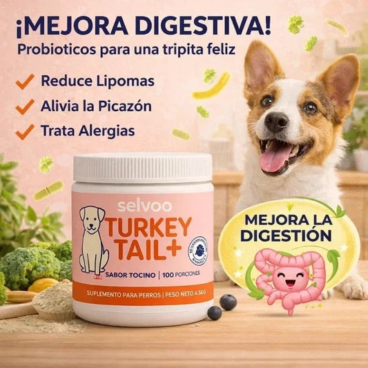 Probiotico Mascota Turkey Tail Plus